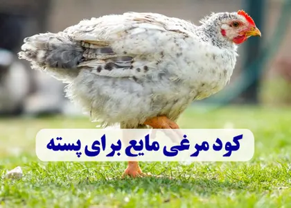 کود مرغی مایع برای پسته