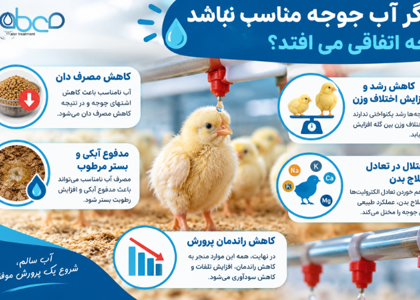TDS آب برای جوجه و مرغ؛ چرا کیفیت آب بهاندازه دان اهمیت دارد؟