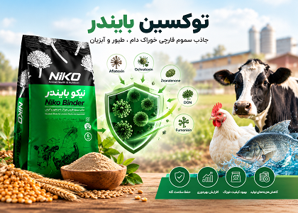 توکسین بایندر چیست؟ راهنمای انتخاب جاذب سموم قارچی خوراک دام، طیور و آبزیان