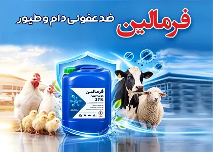 بلاگ فرمالین ۳۷ درصد برای ضدعفونی سالن مرغداری و دامداری؛ راهنمای خرید و مصرف