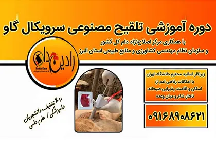 برگزاری دوره تخصصی تلقیح مصنوعی سرویکال گاو در استان البرز