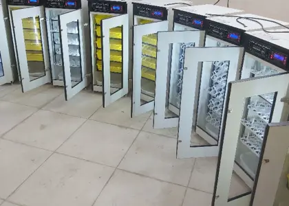جوجه کشی انواع طیور؛ از انتخاب تخم نطفهدار تا خرید دستگاه جوجه کشی مناسب