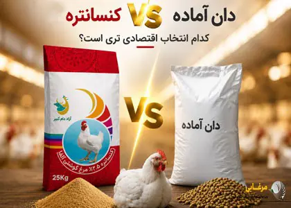 چرا کنسانتره آماده انتخاب هوشمندانهتری نسبت به دان آماده است؟
