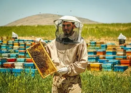 نمایشگاه تخصصی صنعت زنبورداری