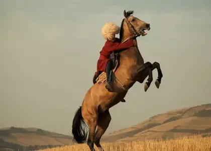 جشنواره زیبایی اسب اصیل ترکمن قهرمانی کشور