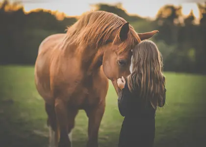 چگونه با اسب ها ارتباط برقرار کنیم؟