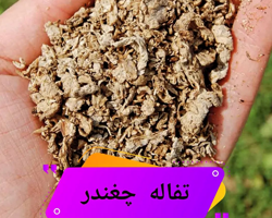 تفاله چغندر