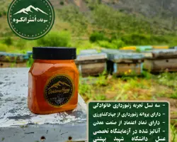 عسل گون کوهی اشترانکوه لرستان: طعمی از دل طبیعت بکر و دست‌نخورده