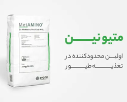 متیونین دگوسا