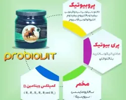 پروبیوتیک Probiovitمخصوص اسب  فانتوم