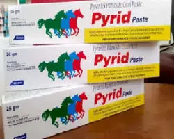 خمير انگل Pyrid  مخصوص اسب