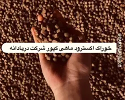 خوراک مولد ماهی کپور (BFC)