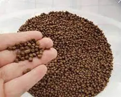 خوراک سیلور ماهی کپور( آغازین)