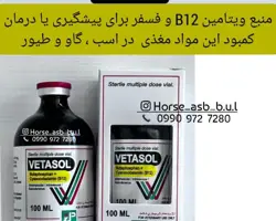 مکمل ویتامین B12و فسفر اسبVETASOL