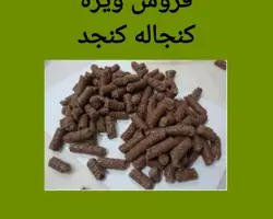 فروش ویژه کنجاله کنجد 