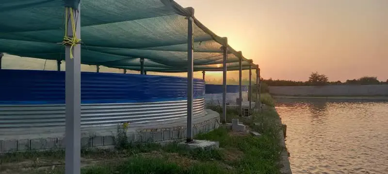 تصویر شماره 1 محصول 