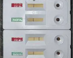 آزمون سقط جنین در گربه(ویروس نقص ایمنی گربه (FIV)  به روش PCR)