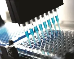 آزمون بیماری اسهال در گربه(تریکوموناس فتوس به روش PCR)