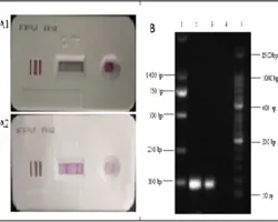 آزمون بیماری اسهال در سگ و گربه(پاروویروس گربه (پن لوکوپنی)  به روش PCR)