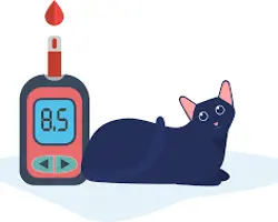 چکاپ سلامت سگ و گربه(گلوکوز به‌منظور بررسی دیابت)