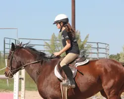 آموزش سوارکاری و اصول اسب سواری 