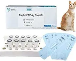 آزمون سقط جنین در سگ و گربه(پاروو ویروس گربه (پن‌لوکوپنی)  به روش PCR)