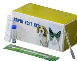 آزمون سقط جنین در سگ و گربه(لپتوسپیرا به روش PCR)
