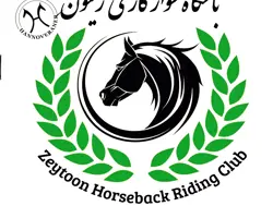 آموزش سوارکاری از مبتدی تا حرفه ای در مجتمع سوارکاری و پرورش اسب زیتون