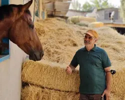 آموزش سوارکاری و پانسیون اسب در تهران