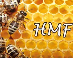 آزمون HMF در  عسل