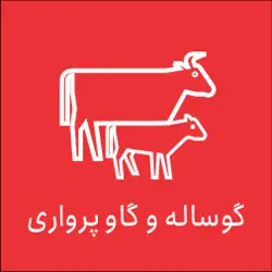 غرفه فروشگاه گاو و گوساله  پرواری حاج یوسف 