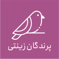 پرنده فروشی هدهد