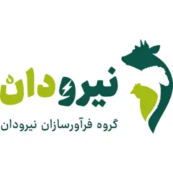 فرآورسازان نیرودان 