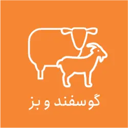 خرید و فروش بز و گوسفند اصانلو